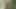 Walking Hard and Naked in the Forest