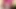 Pink Wig Summer Space Blowjob