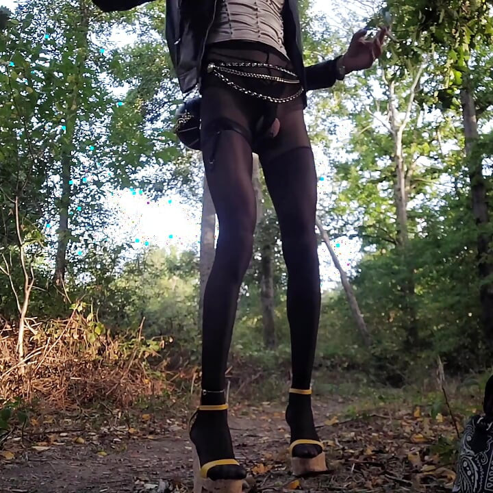 Faisanderie men kaar paark men lugdi pradarshani. Rencontre_cokiine Vanessabitchx Parischiennetrvprod