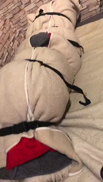 päls orgasm 1