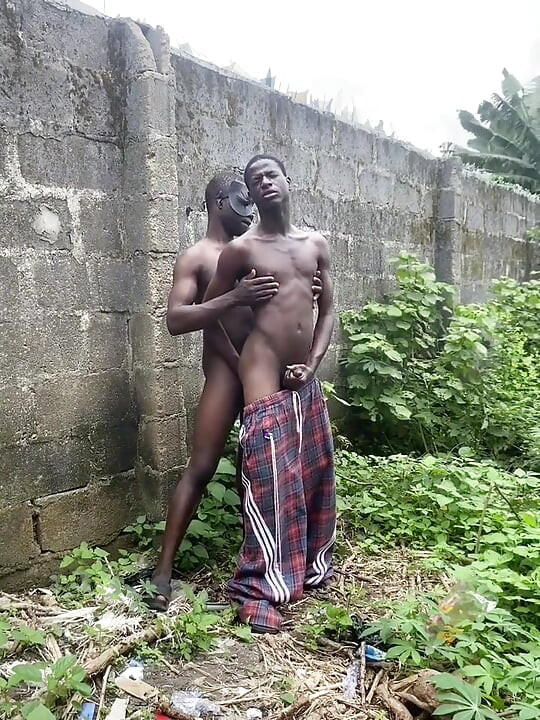 Section de baise de touffe