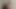 safir petgirl