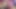 Pink-Haired Beauty Passionately Sucks and Cum Swallow