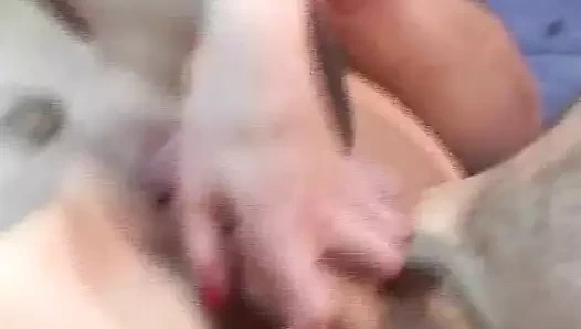 Sıska sarışın saçlı çapa oynuyor sikiliyor