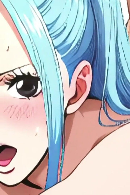 One Piece Vivi(8) Hen