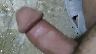 Zdravo