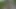 Bisiklete