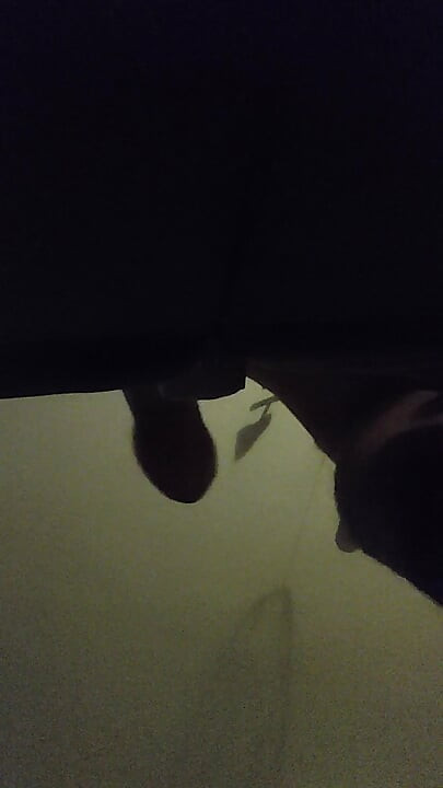 Masturbator Fucked