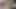 الملاك الآسيوي 25186