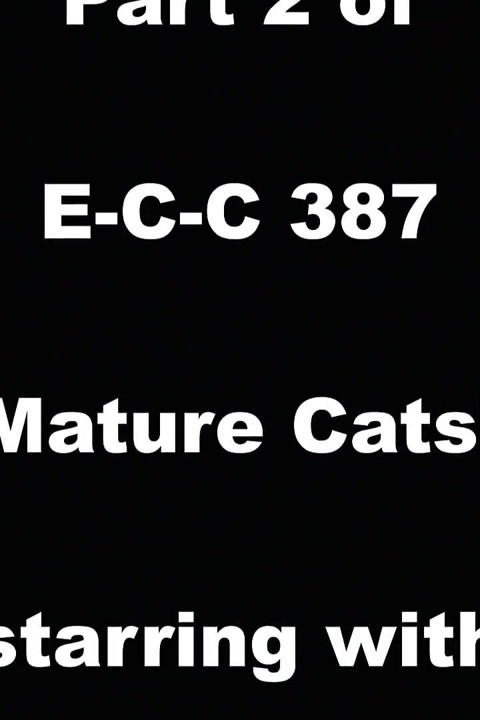E-c-c 387 Mature Cats
