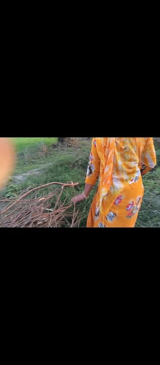Once again the brother-in-law fucked the new sister-in-law in the mustard field.outdoor sex