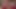 Christmas morning masturbation and cum by the tree