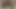 Banyoya en uzun yolculuk, çok uzun bir sidik, kıllı bir amcık işiyor