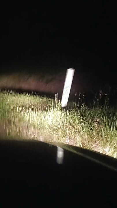 Sissy förtjänar att vara exponerad
