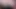 slut twerking big shiny ass on a dildo