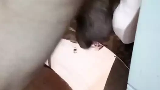 bon petit gode