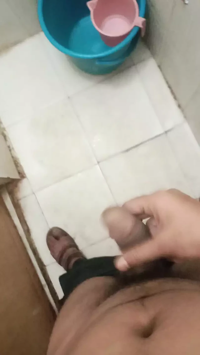 India cock
