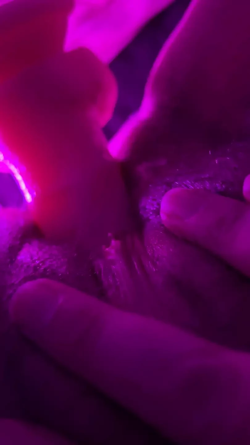 I Need a real cock