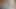 Asian Group Rough Masturbation