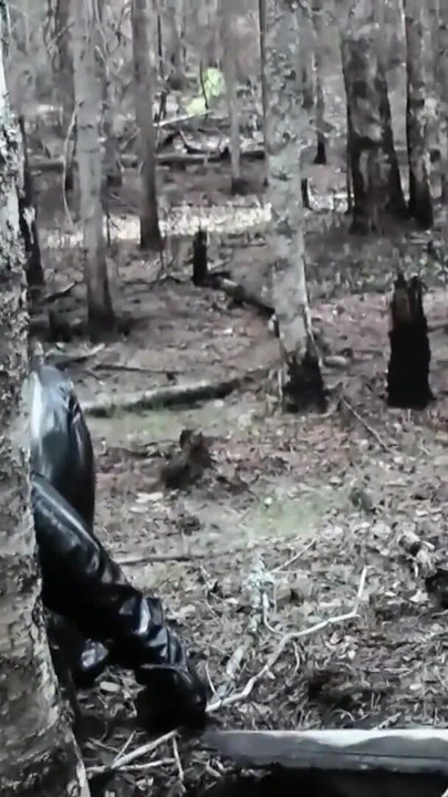 Key moment from "Facesitting Video, Latex Rubber Humiliation, Femdom Free Porn"