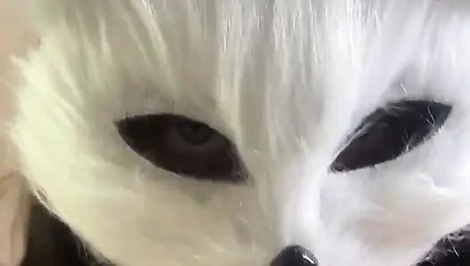 Today I'm a Naughty Kitten Who Wants Milk