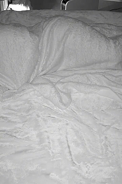 Her First Time with an Anal Plug Turned Her on and She Asked Me to Eat Her Out