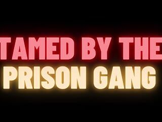 Gefängnis-Gang-BDSM-Sklaventraining, Gangbang (m4m, schwule Audio-Story)