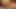 Cam4 tombul mastürbasyon kapalı boşalmak