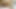 クローズアップでアソコを舐めてセックス