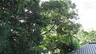 Japanese Hentai Matings