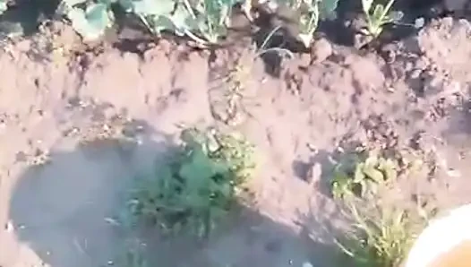 Afrikalı amatör açık havada süt püskürtüyor