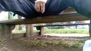 Kocalos - kencing di taman awam
