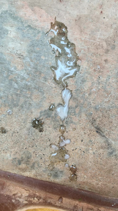 Tam handel mara videosu