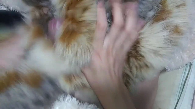 japanese fur masterbation 04