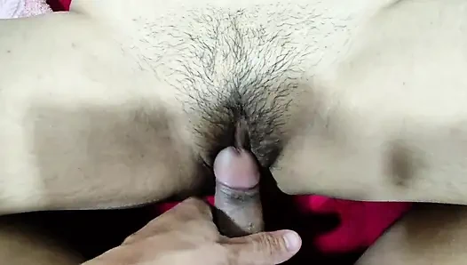 Коллекция является коллекцией повседневной жизни