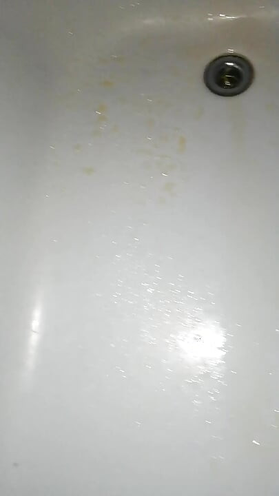 Şişman yaşlı ayı küvette işiyor (koyu sidik)