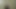 Indian lund Indian biggest dick long cock hard cock