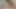 Little Indian finds a woman resting in the middle of the forest, he gets horny seeing her huge ass and ends up putting his cock in her.