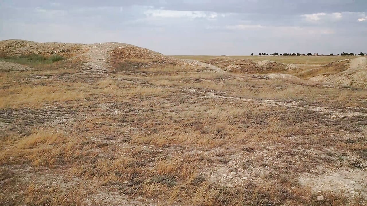 Hayranla tepelerde