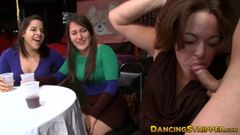 Party babes suck on large dicks and cheer for each other