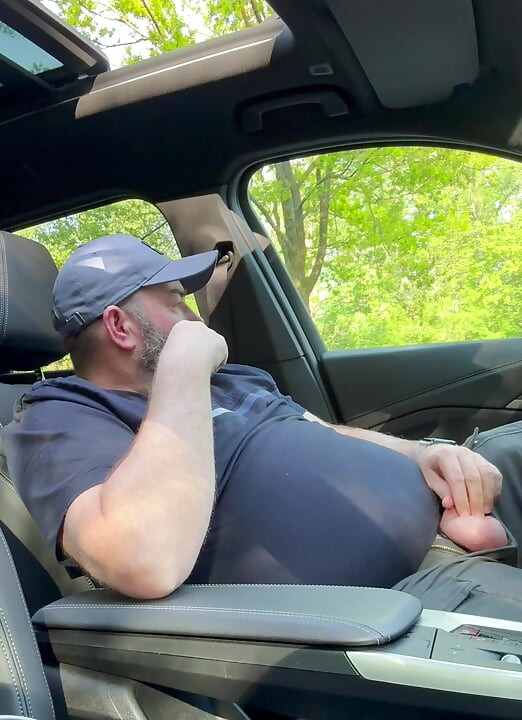 Bear almost got caught in the car