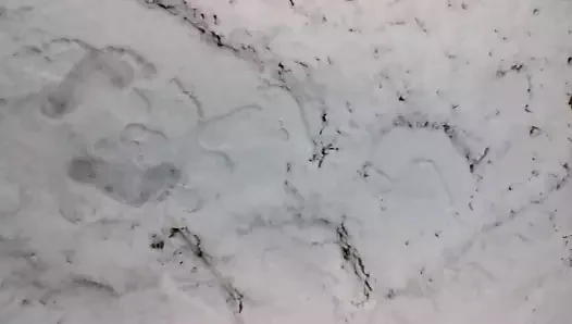 Karda açık havada yürüyüş
