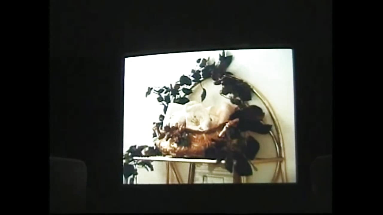 Sex Under the Blue Sky