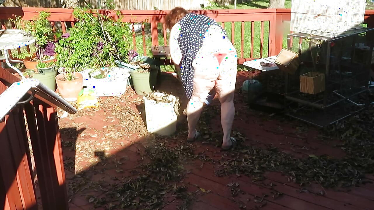 Jugando en mi jardín mostrando mis tetas vientre culo, piernas y coño gordo mostrando usted mientras limpia mis hojas! Tanga de encaje rojo!