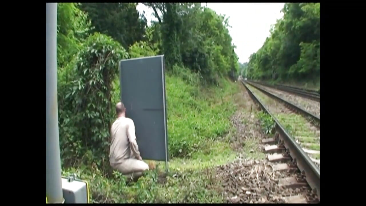 セクシーな若い巨乳の女の子は、屋外の素敵なコックのクーブルを取ります