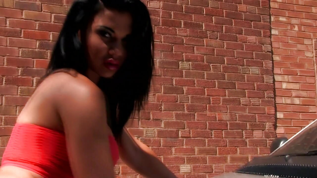 Vollbusige MILF jasmine Jae und Luke Hotrodh ficken im auto