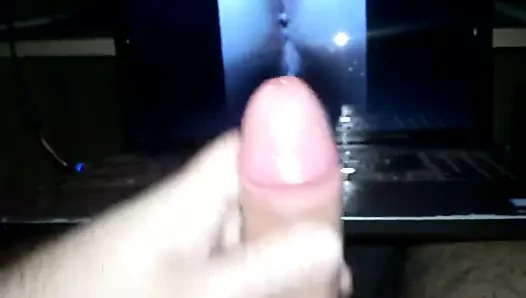 Timsanks için haraç 21 #2