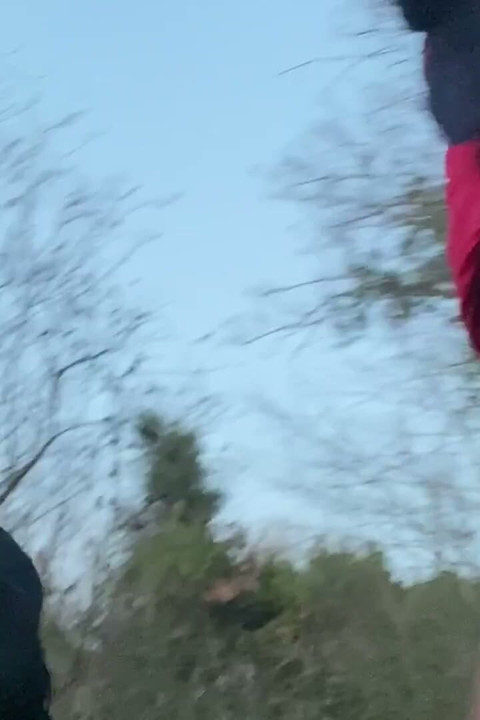 Naughty in the Woods