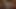 En iyi bağbozumu 102 (hd)