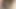 Indian Porn